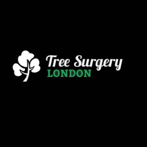 Tree Surgery London Tree Surgery Leaders